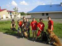Услуги животным Донецк и область Фото к объявлению